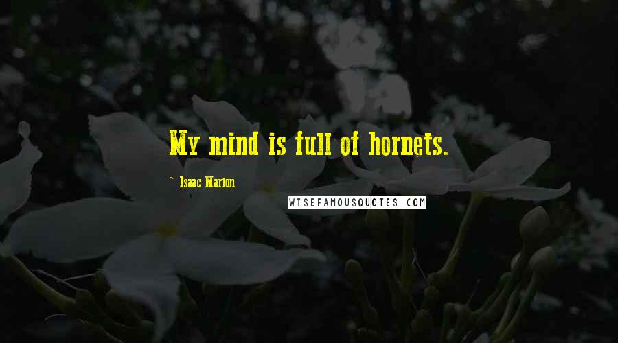 Isaac Marion Quotes: My mind is full of hornets.