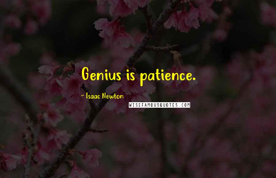 Isaac Newton Quotes: Genius is patience.