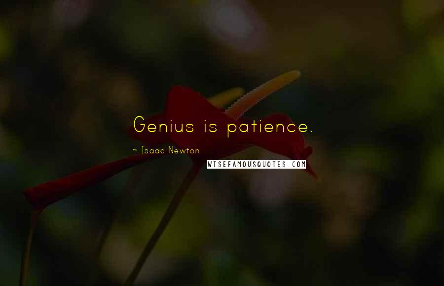 Isaac Newton Quotes: Genius is patience.