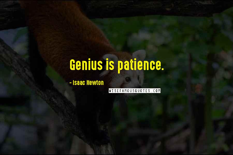 Isaac Newton Quotes: Genius is patience.