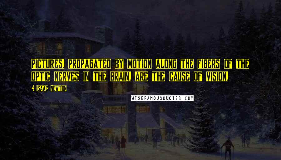 Isaac Newton Quotes: Pictures, propagated by motion along the fibers of the optic nerves in the brain, are the cause of vision.