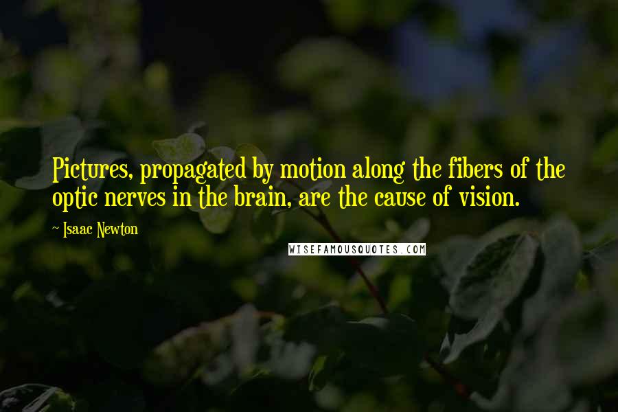 Isaac Newton Quotes: Pictures, propagated by motion along the fibers of the optic nerves in the brain, are the cause of vision.