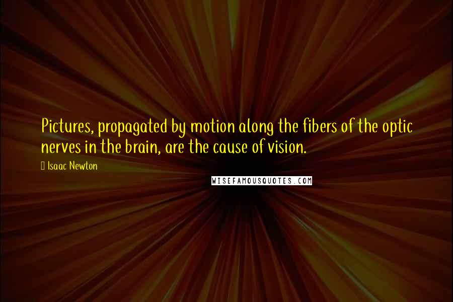 Isaac Newton Quotes: Pictures, propagated by motion along the fibers of the optic nerves in the brain, are the cause of vision.