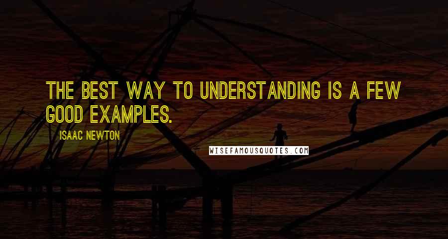 Isaac Newton Quotes: The best way to understanding is a few good examples.