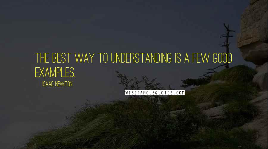 Isaac Newton Quotes: The best way to understanding is a few good examples.