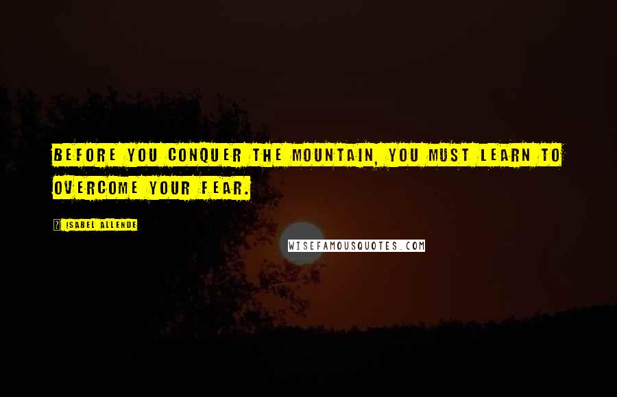 Isabel Allende Quotes: Before you conquer the mountain, you must learn to overcome your fear.