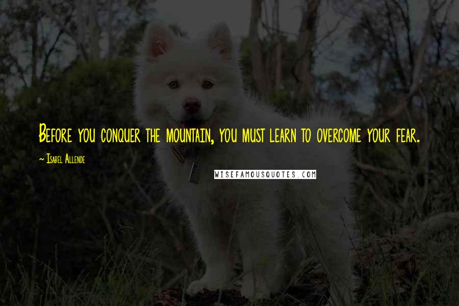 Isabel Allende Quotes: Before you conquer the mountain, you must learn to overcome your fear.