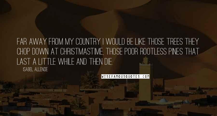 Isabel Allende Quotes: Far away from my country I would be like those trees they chop down at Christmastime, those poor rootless pines that last a little while and then die.