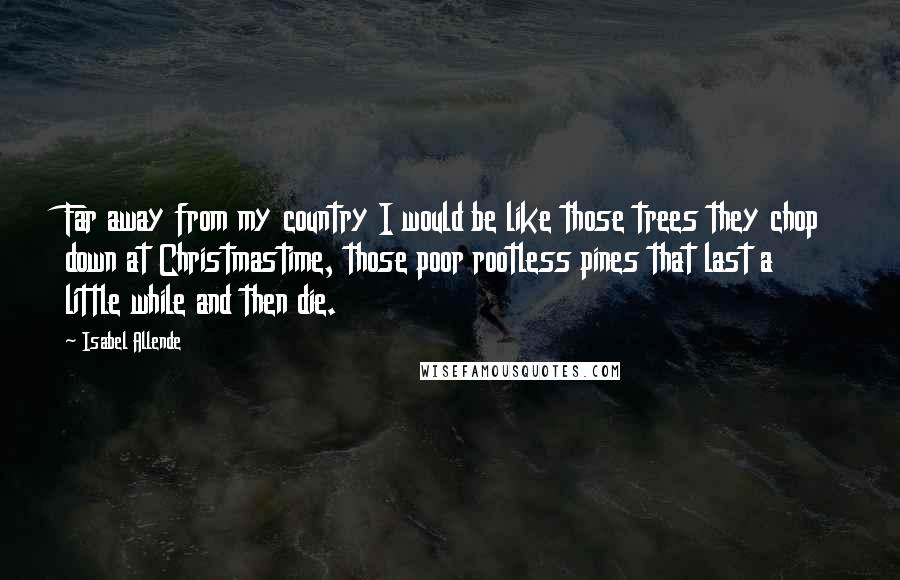 Isabel Allende Quotes: Far away from my country I would be like those trees they chop down at Christmastime, those poor rootless pines that last a little while and then die.