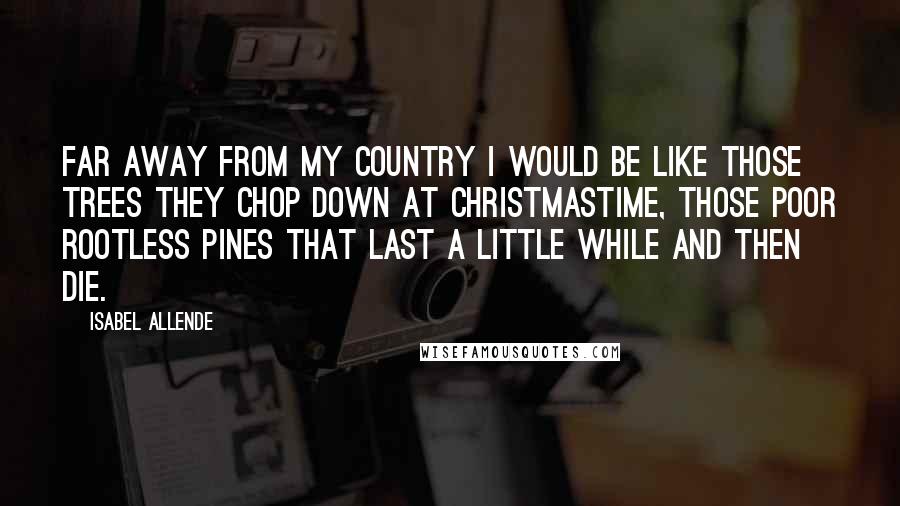 Isabel Allende Quotes: Far away from my country I would be like those trees they chop down at Christmastime, those poor rootless pines that last a little while and then die.