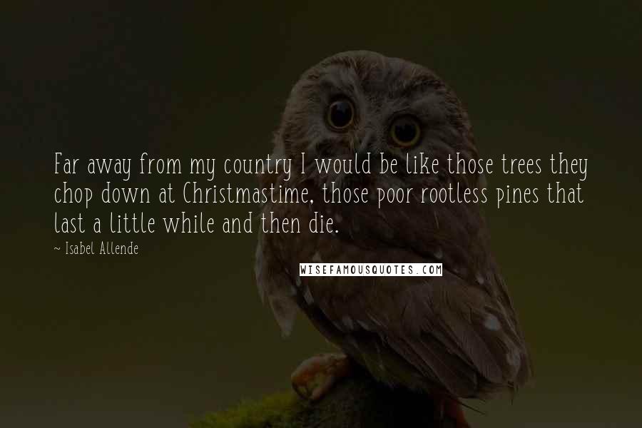 Isabel Allende Quotes: Far away from my country I would be like those trees they chop down at Christmastime, those poor rootless pines that last a little while and then die.