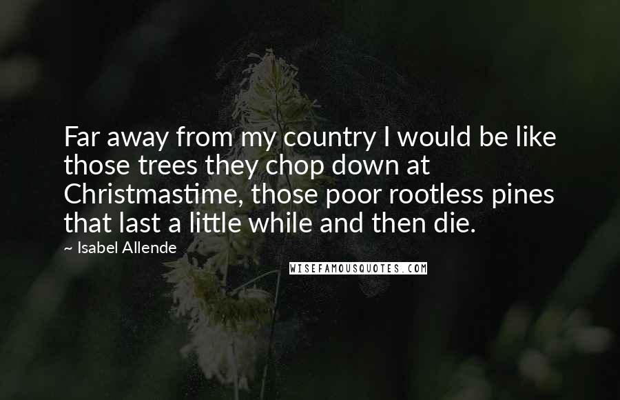 Isabel Allende Quotes: Far away from my country I would be like those trees they chop down at Christmastime, those poor rootless pines that last a little while and then die.