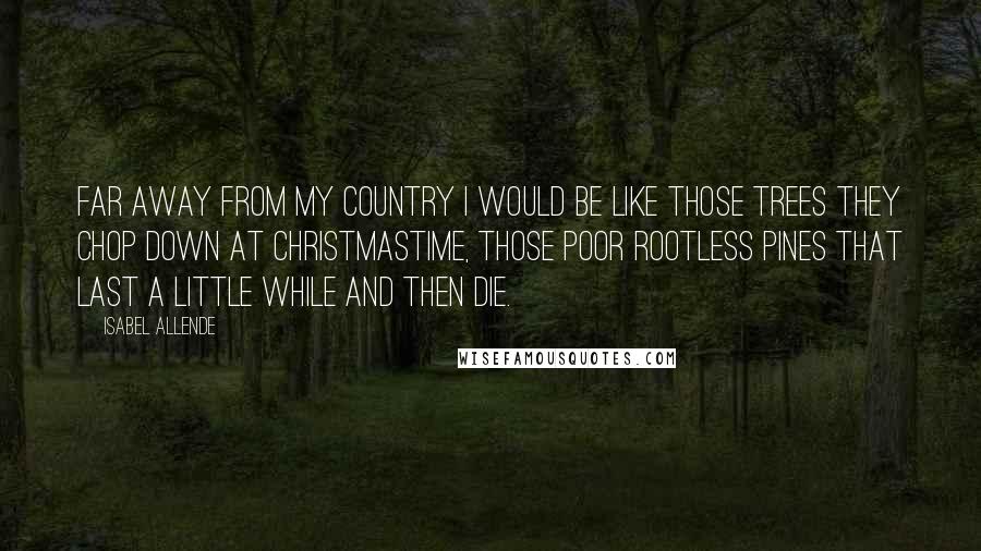 Isabel Allende Quotes: Far away from my country I would be like those trees they chop down at Christmastime, those poor rootless pines that last a little while and then die.