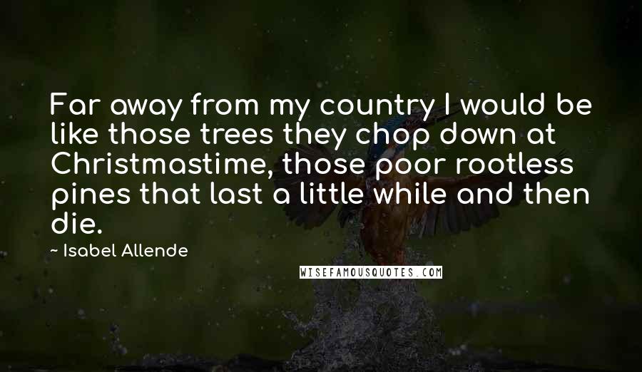 Isabel Allende Quotes: Far away from my country I would be like those trees they chop down at Christmastime, those poor rootless pines that last a little while and then die.