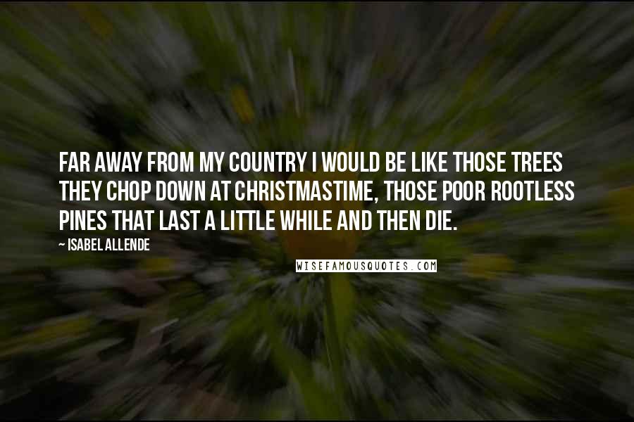 Isabel Allende Quotes: Far away from my country I would be like those trees they chop down at Christmastime, those poor rootless pines that last a little while and then die.