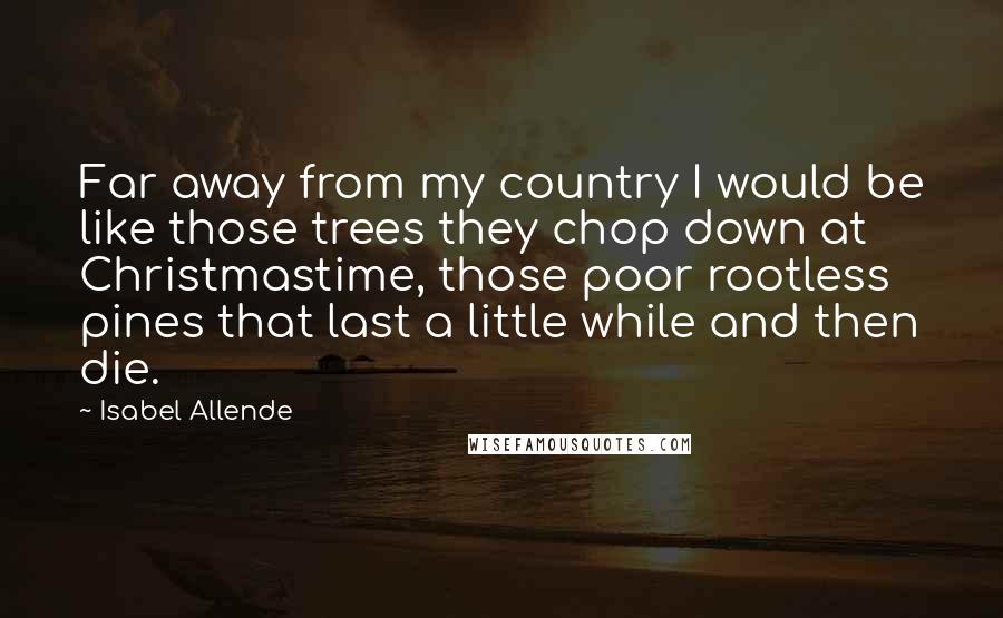 Isabel Allende Quotes: Far away from my country I would be like those trees they chop down at Christmastime, those poor rootless pines that last a little while and then die.
