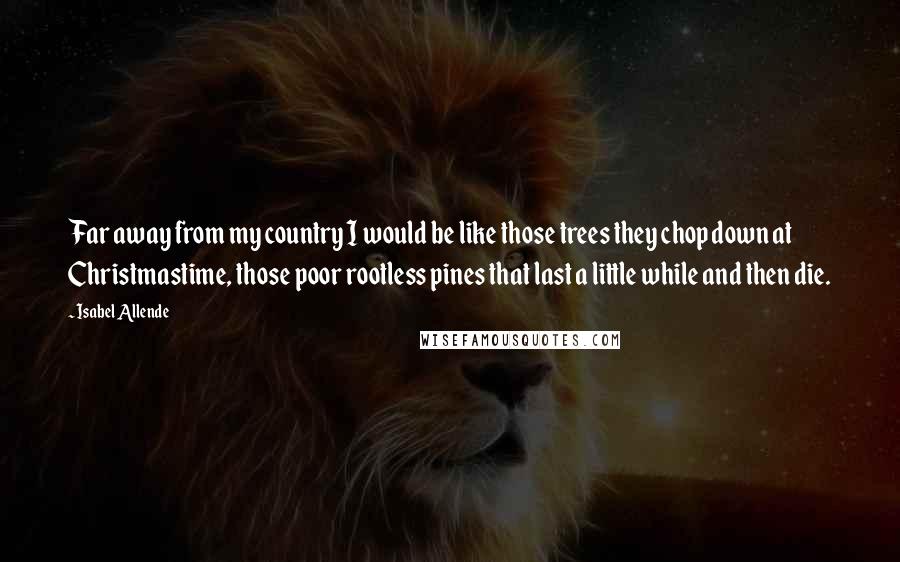 Isabel Allende Quotes: Far away from my country I would be like those trees they chop down at Christmastime, those poor rootless pines that last a little while and then die.