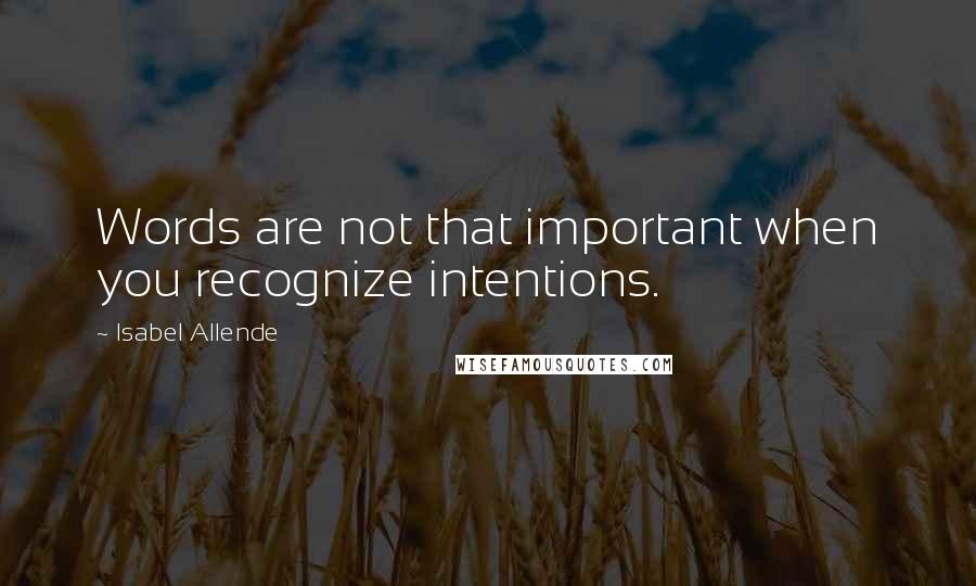 Isabel Allende Quotes: Words are not that important when you recognize intentions.