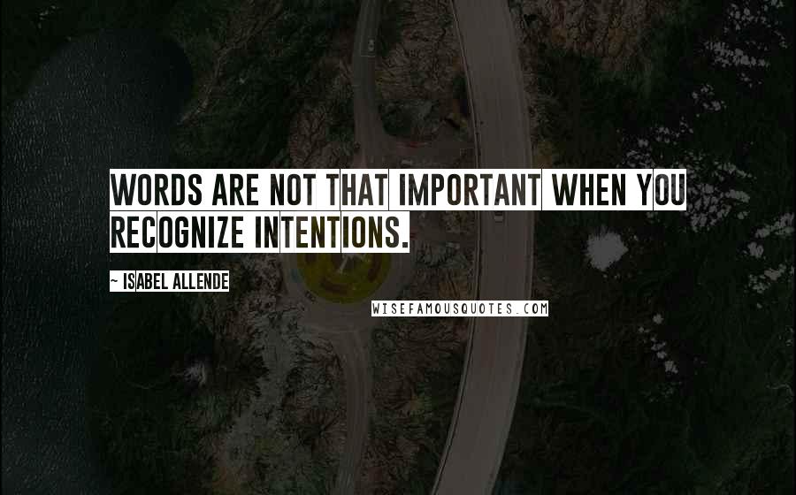 Isabel Allende Quotes: Words are not that important when you recognize intentions.