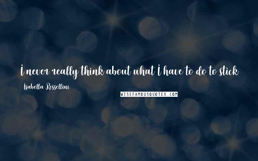 Isabella Rossellini Quotes: I never really think about what I have to do to stick to my image. I just follow what I like to do. Sometimes it's glamorous, sometimes it's not.