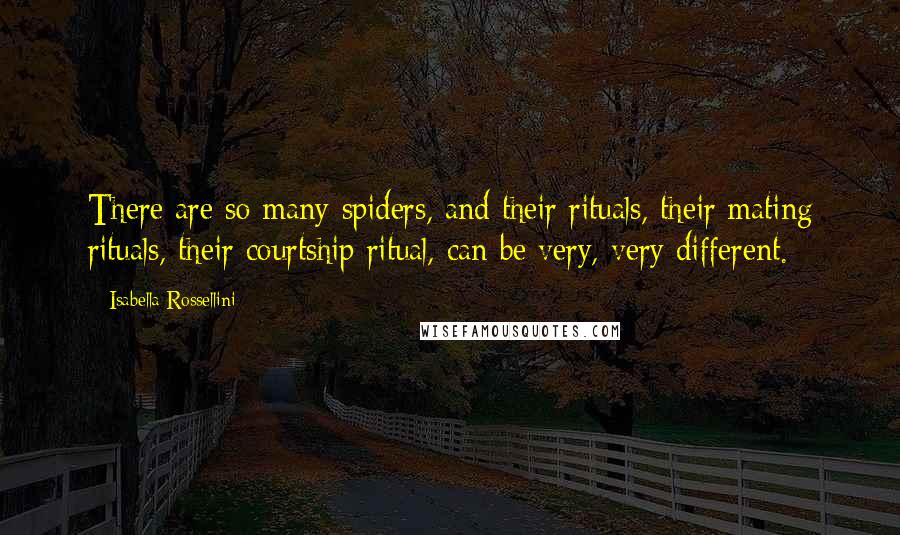 Isabella Rossellini Quotes: There are so many spiders, and their rituals, their mating rituals, their courtship ritual, can be very, very different.