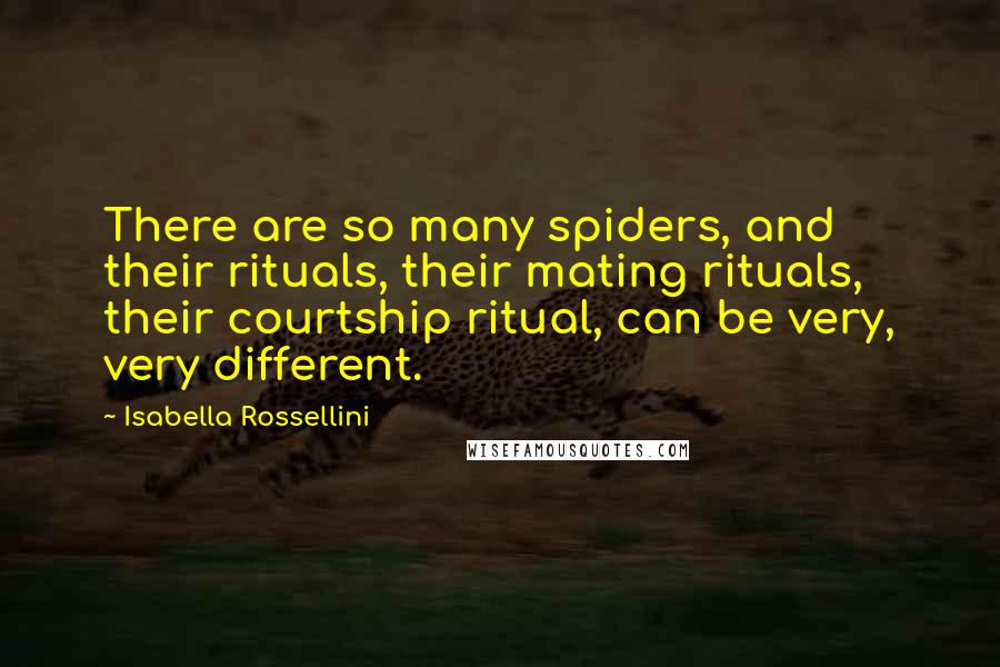 Isabella Rossellini Quotes: There are so many spiders, and their rituals, their mating rituals, their courtship ritual, can be very, very different.