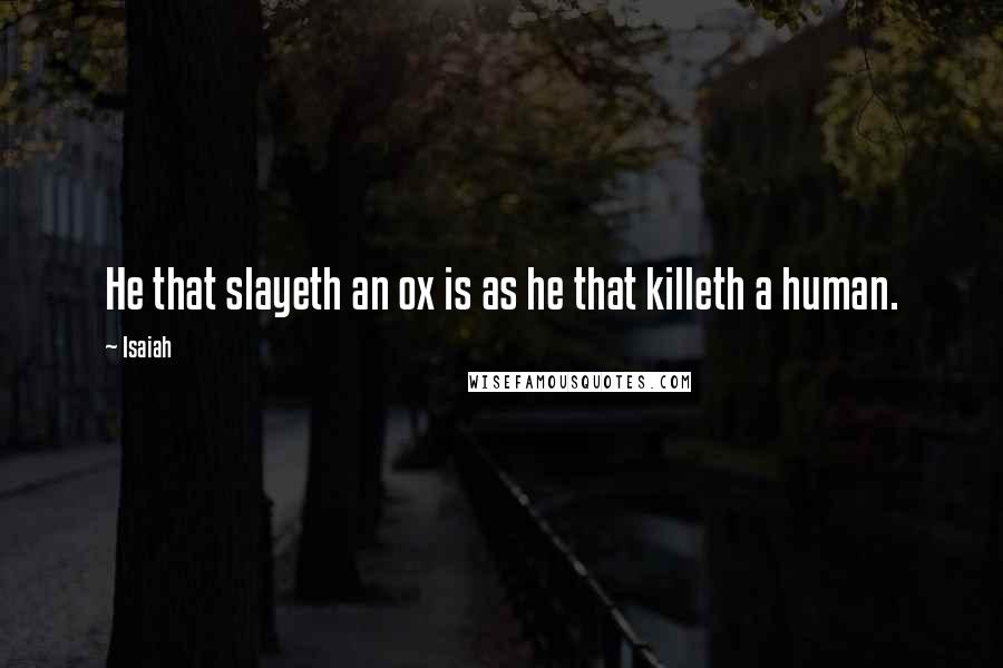 Isaiah Quotes: He that slayeth an ox is as he that killeth a human.