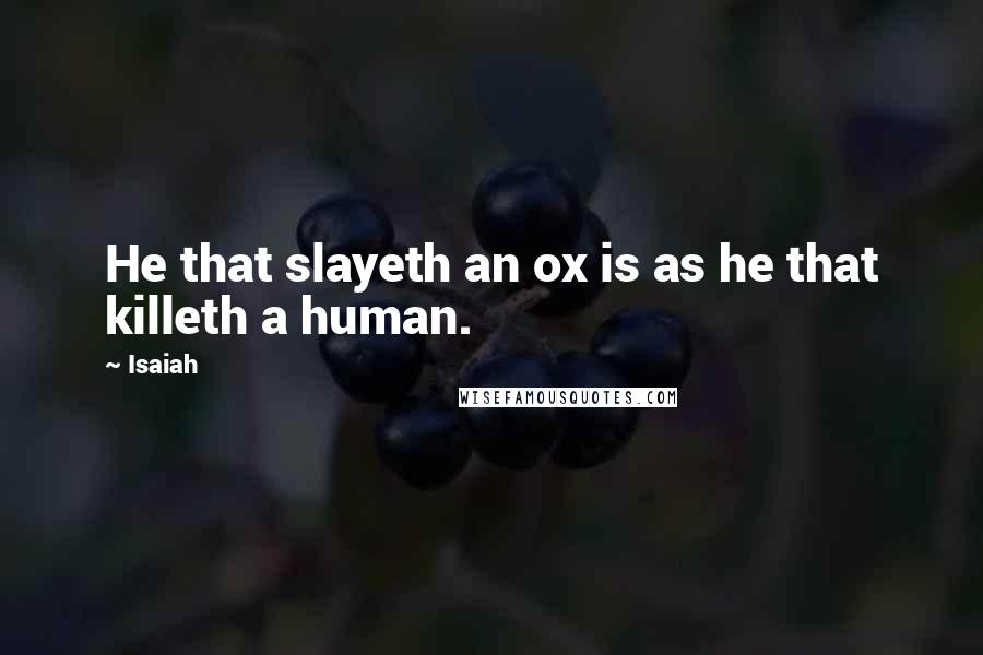 Isaiah Quotes: He that slayeth an ox is as he that killeth a human.