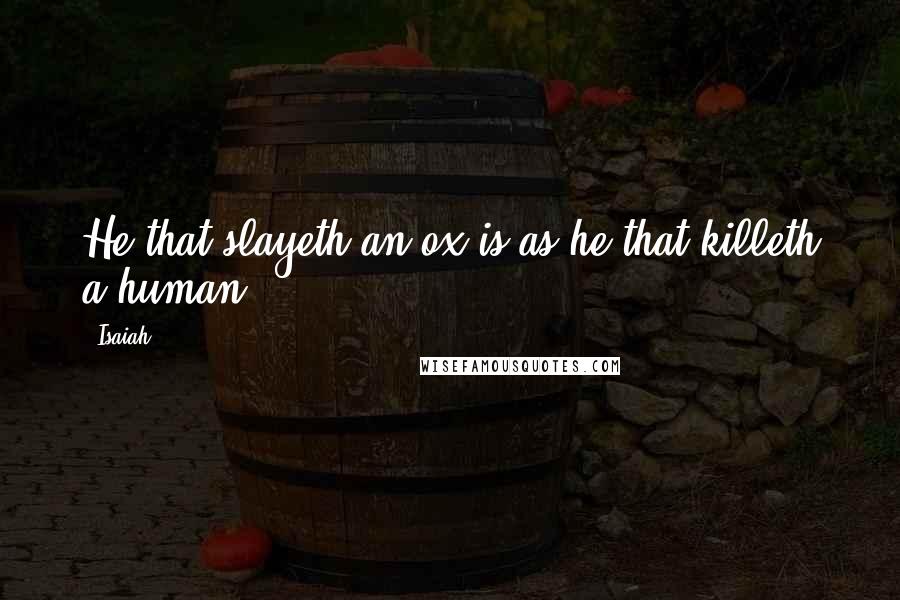 Isaiah Quotes: He that slayeth an ox is as he that killeth a human.