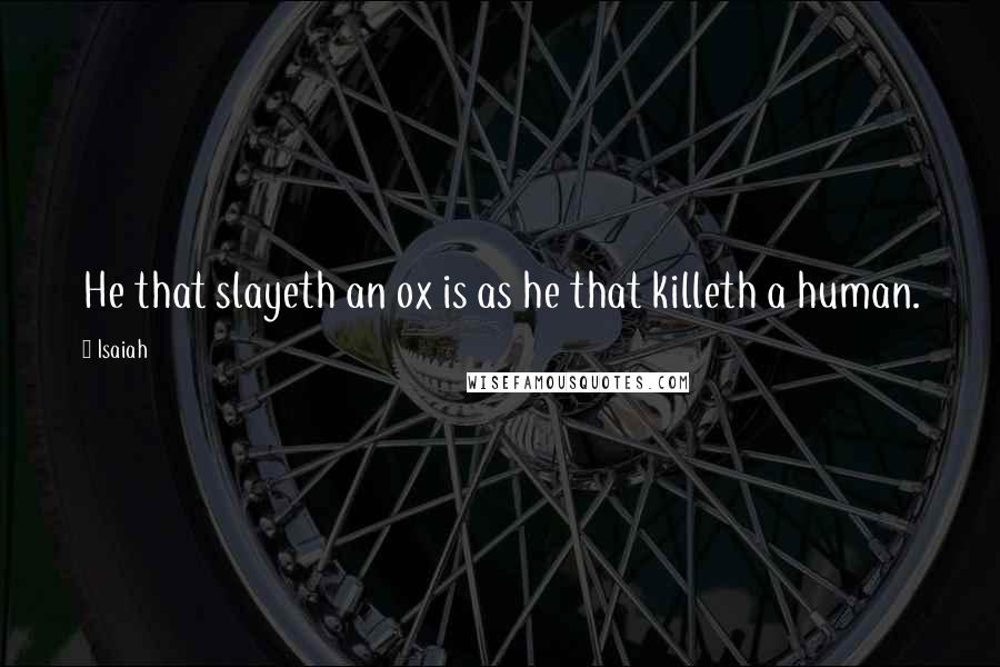 Isaiah Quotes: He that slayeth an ox is as he that killeth a human.
