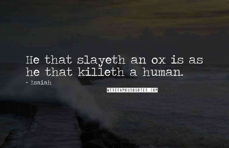 Isaiah Quotes: He that slayeth an ox is as he that killeth a human.