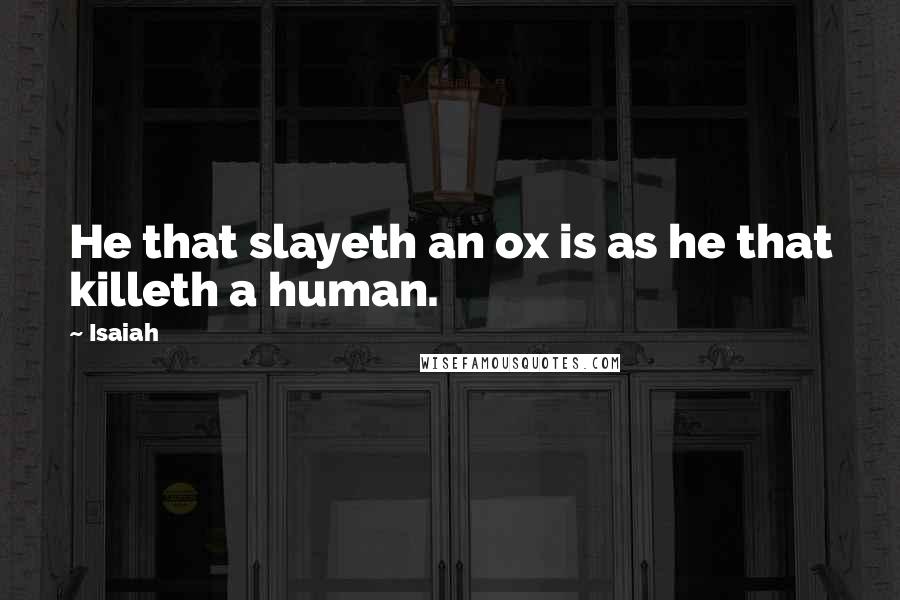 Isaiah Quotes: He that slayeth an ox is as he that killeth a human.