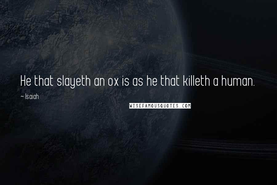Isaiah Quotes: He that slayeth an ox is as he that killeth a human.