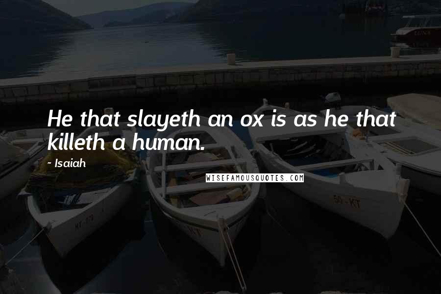 Isaiah Quotes: He that slayeth an ox is as he that killeth a human.