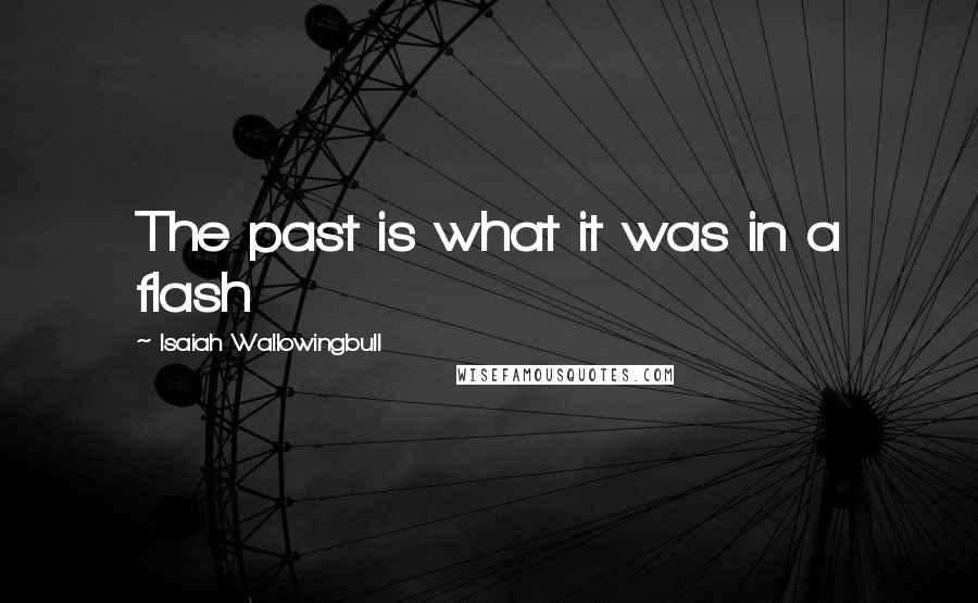 Isaiah Wallowingbull Quotes: The past is what it was in a flash