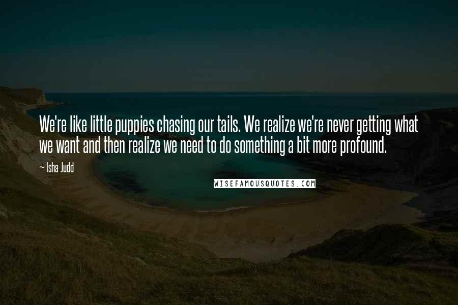 Isha Judd Quotes: We're like little puppies chasing our tails. We realize we're never getting what we want and then realize we need to do something a bit more profound.