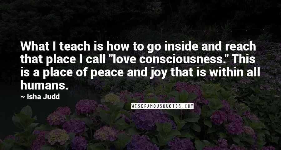 Isha Judd Quotes: What I teach is how to go inside and reach that place I call "love consciousness." This is a place of peace and joy that is within all humans.