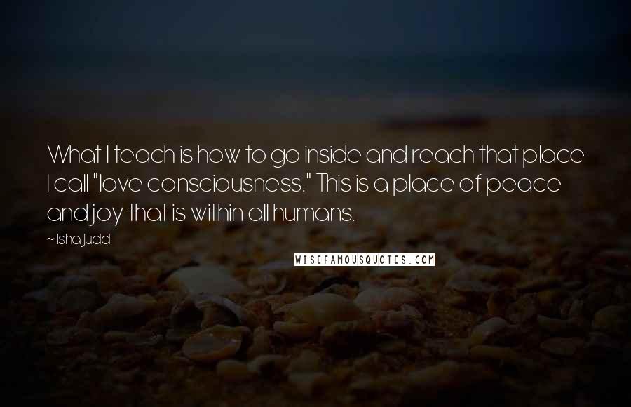 Isha Judd Quotes: What I teach is how to go inside and reach that place I call "love consciousness." This is a place of peace and joy that is within all humans.