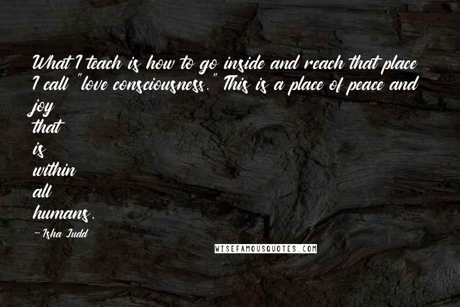 Isha Judd Quotes: What I teach is how to go inside and reach that place I call "love consciousness." This is a place of peace and joy that is within all humans.