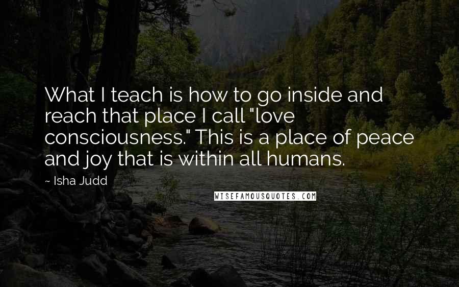 Isha Judd Quotes: What I teach is how to go inside and reach that place I call "love consciousness." This is a place of peace and joy that is within all humans.
