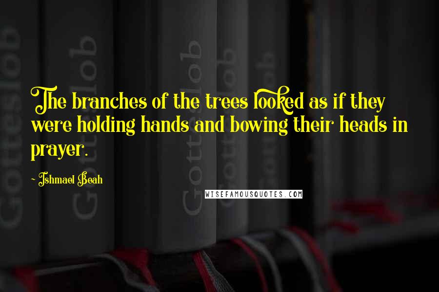 Ishmael Beah Quotes: The branches of the trees looked as if they were holding hands and bowing their heads in prayer.