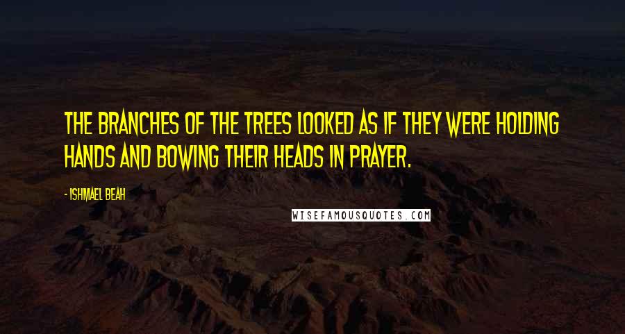 Ishmael Beah Quotes: The branches of the trees looked as if they were holding hands and bowing their heads in prayer.