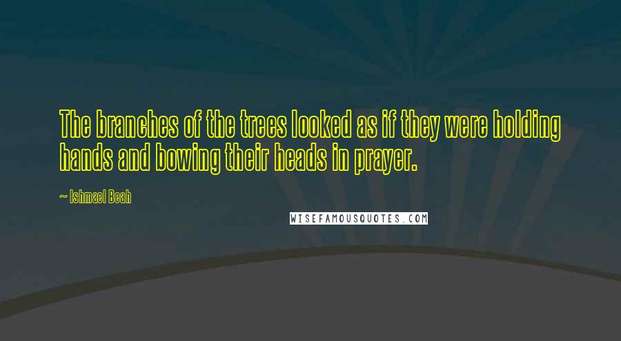 Ishmael Beah Quotes: The branches of the trees looked as if they were holding hands and bowing their heads in prayer.