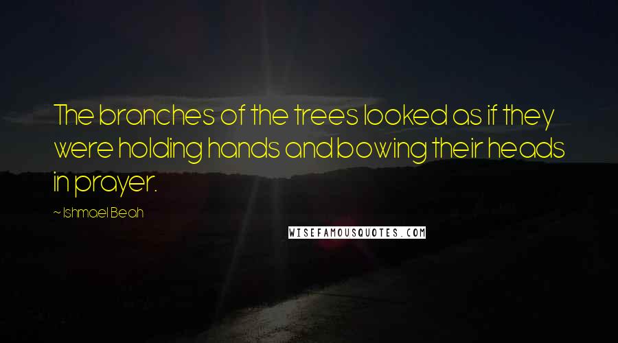 Ishmael Beah Quotes: The branches of the trees looked as if they were holding hands and bowing their heads in prayer.