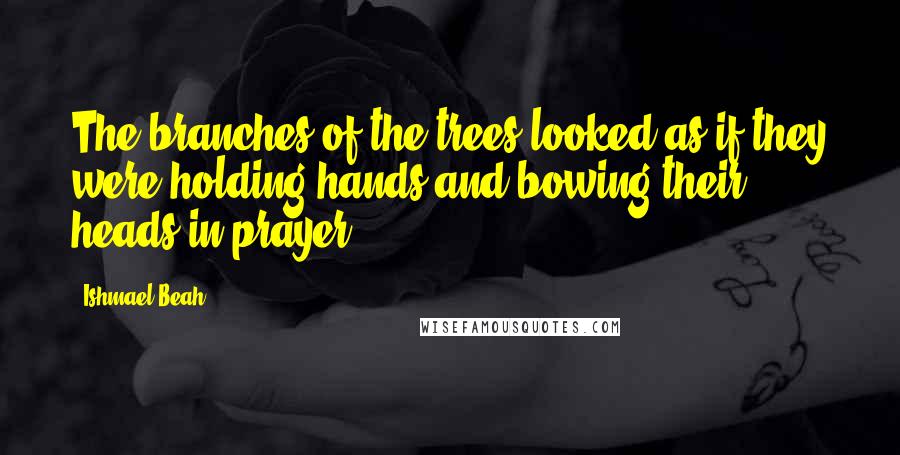 Ishmael Beah Quotes: The branches of the trees looked as if they were holding hands and bowing their heads in prayer.