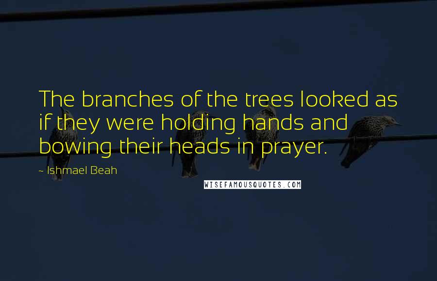 Ishmael Beah Quotes: The branches of the trees looked as if they were holding hands and bowing their heads in prayer.