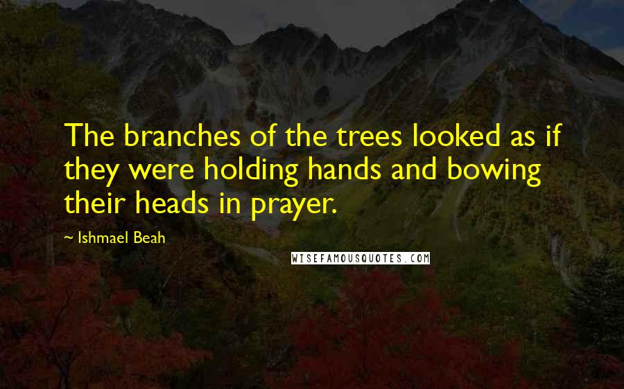 Ishmael Beah Quotes: The branches of the trees looked as if they were holding hands and bowing their heads in prayer.