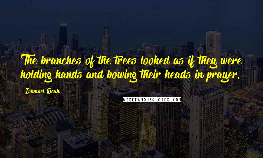 Ishmael Beah Quotes: The branches of the trees looked as if they were holding hands and bowing their heads in prayer.