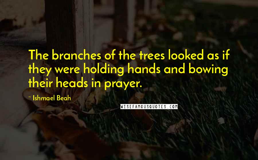 Ishmael Beah Quotes: The branches of the trees looked as if they were holding hands and bowing their heads in prayer.