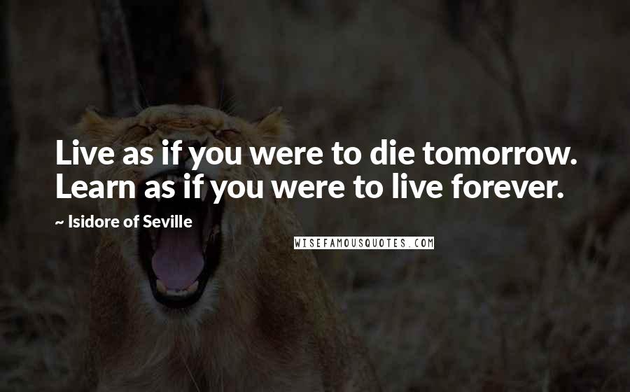 Isidore Of Seville Quotes: Live as if you were to die tomorrow. Learn as if you were to live forever.